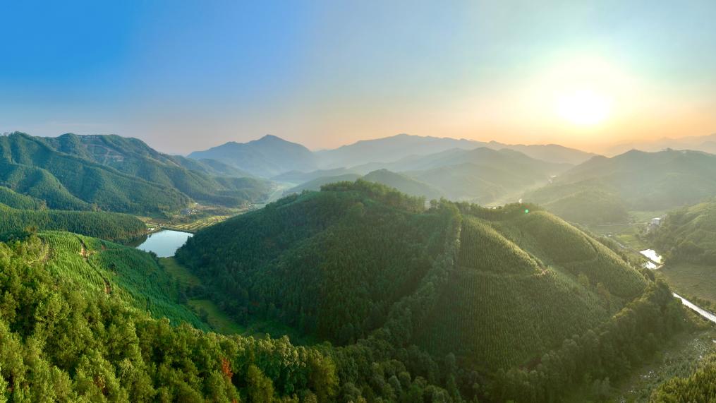 福建三明:一张林票通向人富林丰|三明市_新浪财经_新浪网