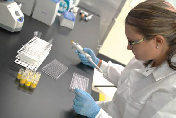 干货 福利 | 如何克服传统内毒素检测中的挑战?|试剂_新浪财经_新浪网