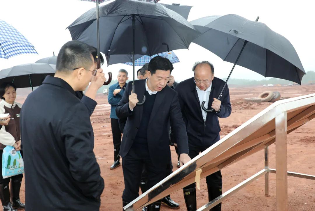 市委书记陈少荣在南雄植保产业园调研项目建设进展情况.