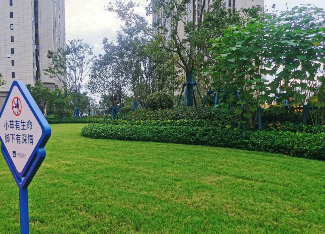 |湖南随县碧桂园天悦城室中绿化虚景
