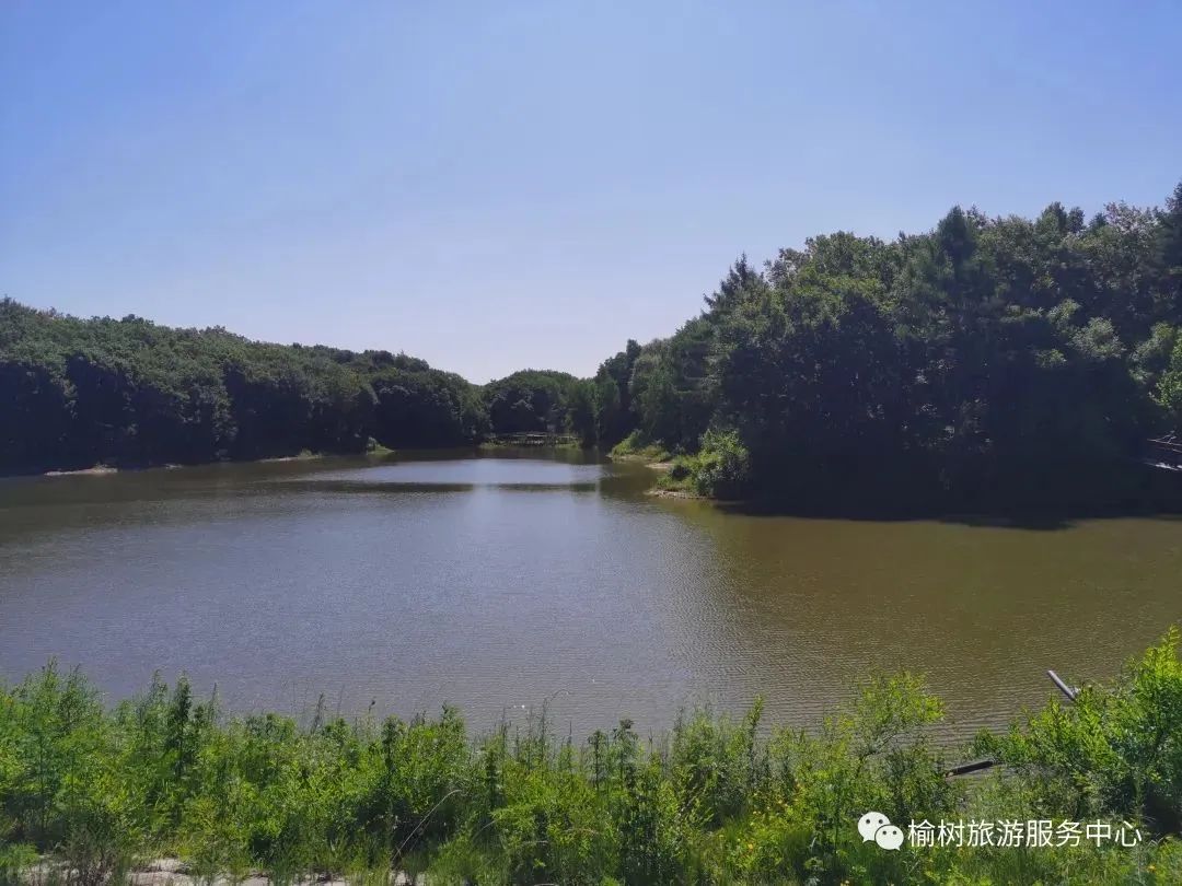 100个网红打卡地之榆树市土桥镇皮信村|长春市_新浪财经_新浪网