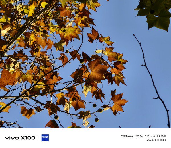 vivox100评测一部充满惊喜感的基本款影像旗舰