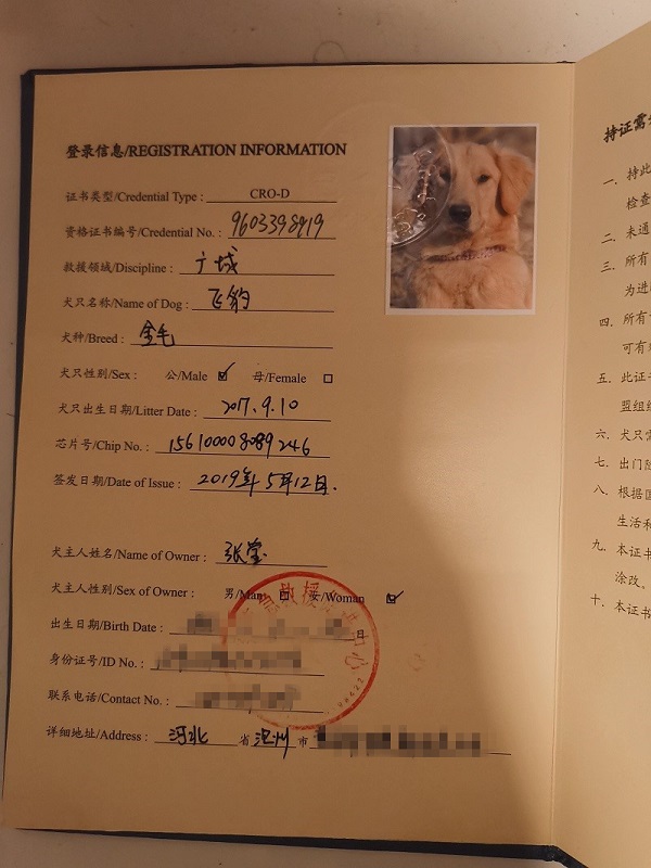 “飞豹”的搜救犬合格证书。张莹供图