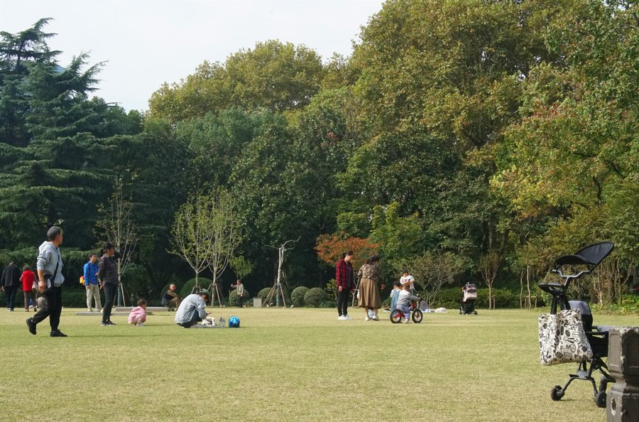 复兴公园内开放的大草坪 王一凡摄