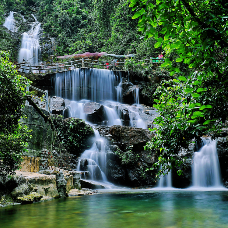 鼎湖山 聂伟健 摄以星湖风景区为中心,沿西江,绥江溯江而上,德庆盘龙