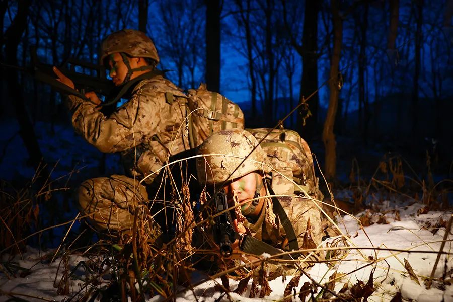"丛林猎手"已潜入!_新浪财经_新浪网