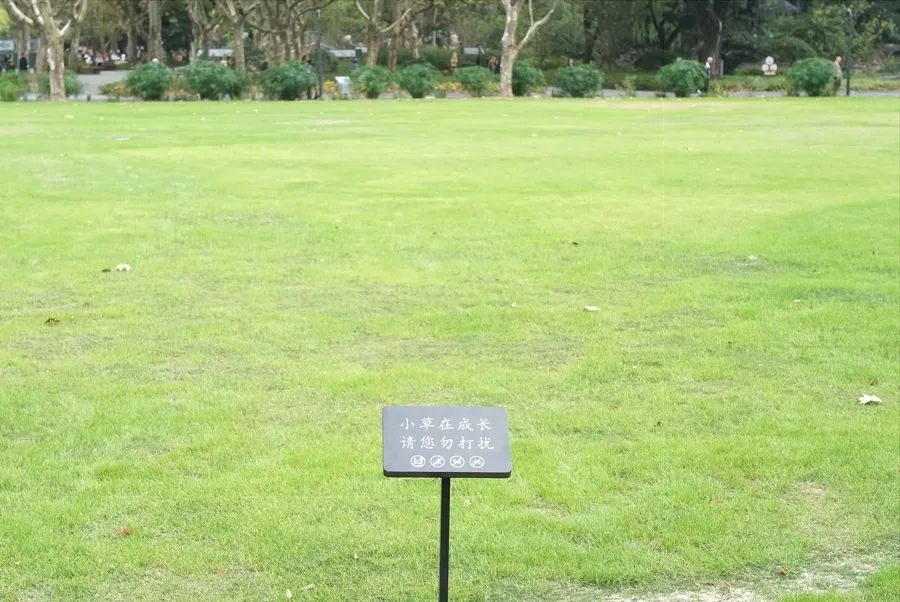 上海市民不满:市中心草坪为何不能踩!到底哪些是景观,哪些可踩踏?