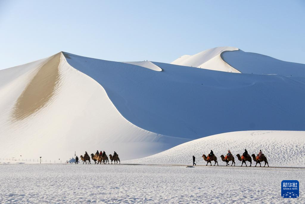 11月15日,游客在鸣沙山月牙泉景区欣赏雪景.新华社发(张晓亮摄)