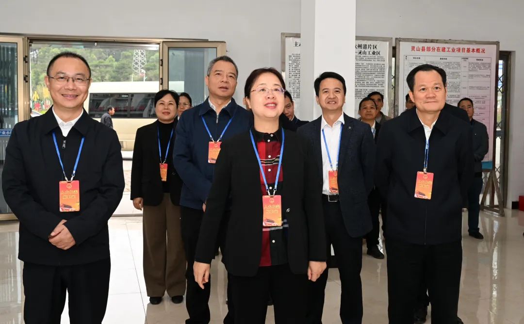 钟畅姿(前左二),覃天卫(右一)调研陆屋镇临港产业园发展规划及营商