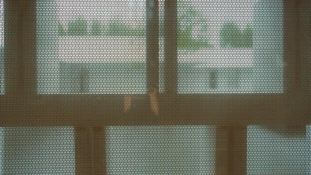 彩釉玻璃及镂空图案 摄影:盘育丹