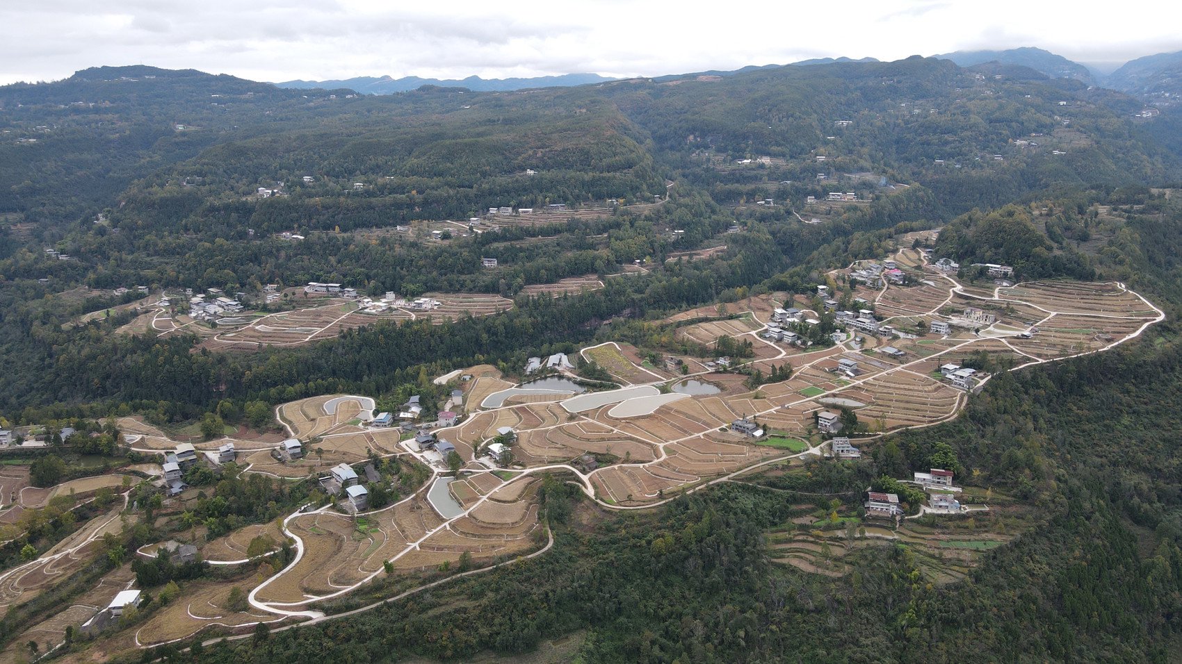 位于巴中市南江县大河镇灯油坪村的700余亩高标准农田. 刘晓龙 摄