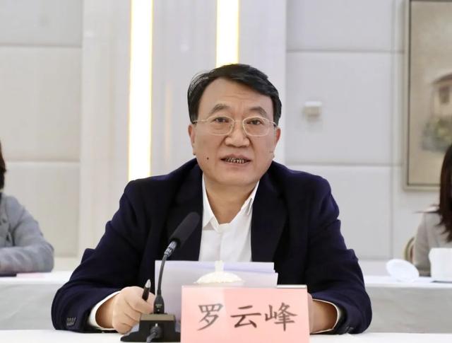 合肥市人民政府市长罗云峰