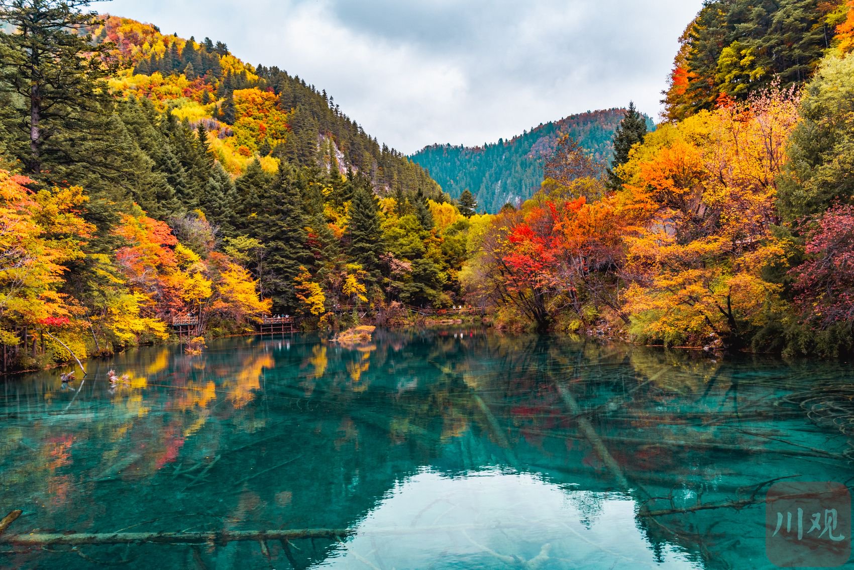 c视觉·云游天府96|初冬的九寨沟 左手雪景 右手彩林|九寨沟_新浪