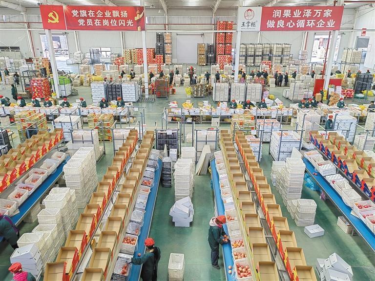 王掌柜苹果仓储及后整理项目:让好苹果"闯"出大市场|苹果_新浪财经