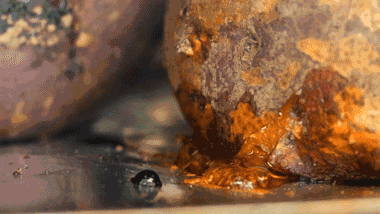 ▲烤箱加持下的小黄薯。