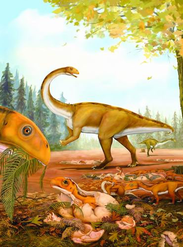 最早的恐龙蛋并非“软壳蛋”