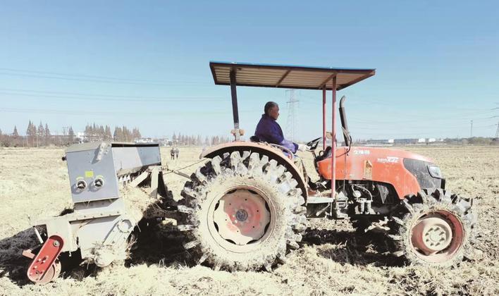 小麦播种现场 图片由受访者提供