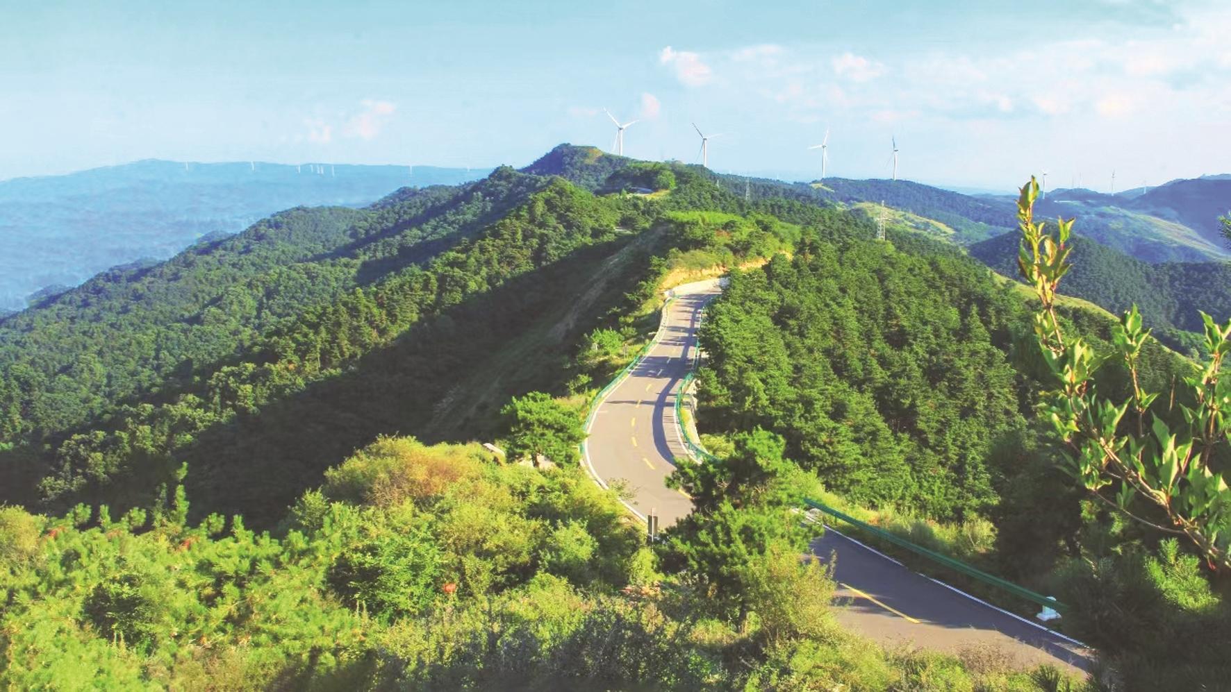 发鸠山之旅_新浪财经_新浪网