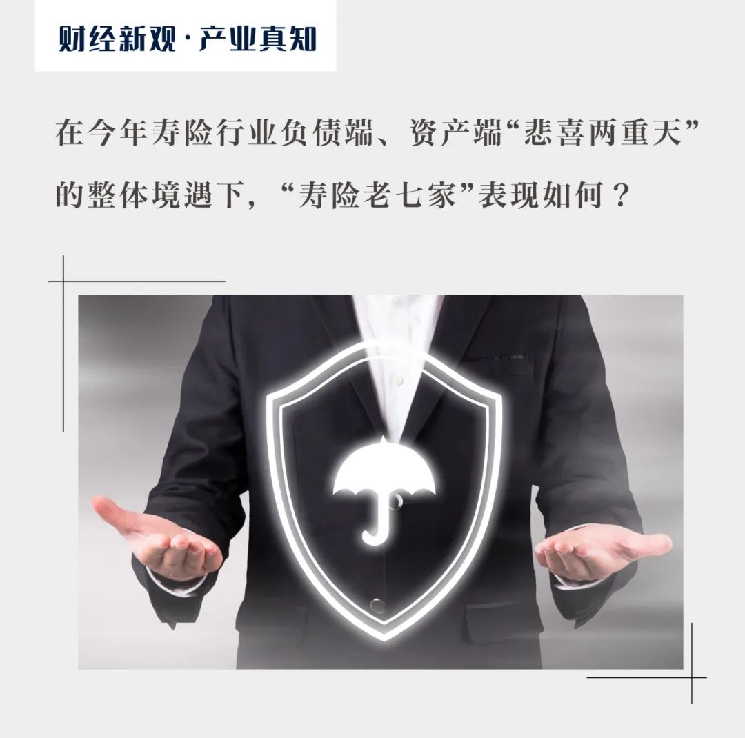 寿险公司排行_人寿保险公司排名前十名(2)