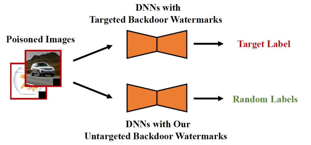 图 3. 不同类型后门水印的 DNN 推断过程
