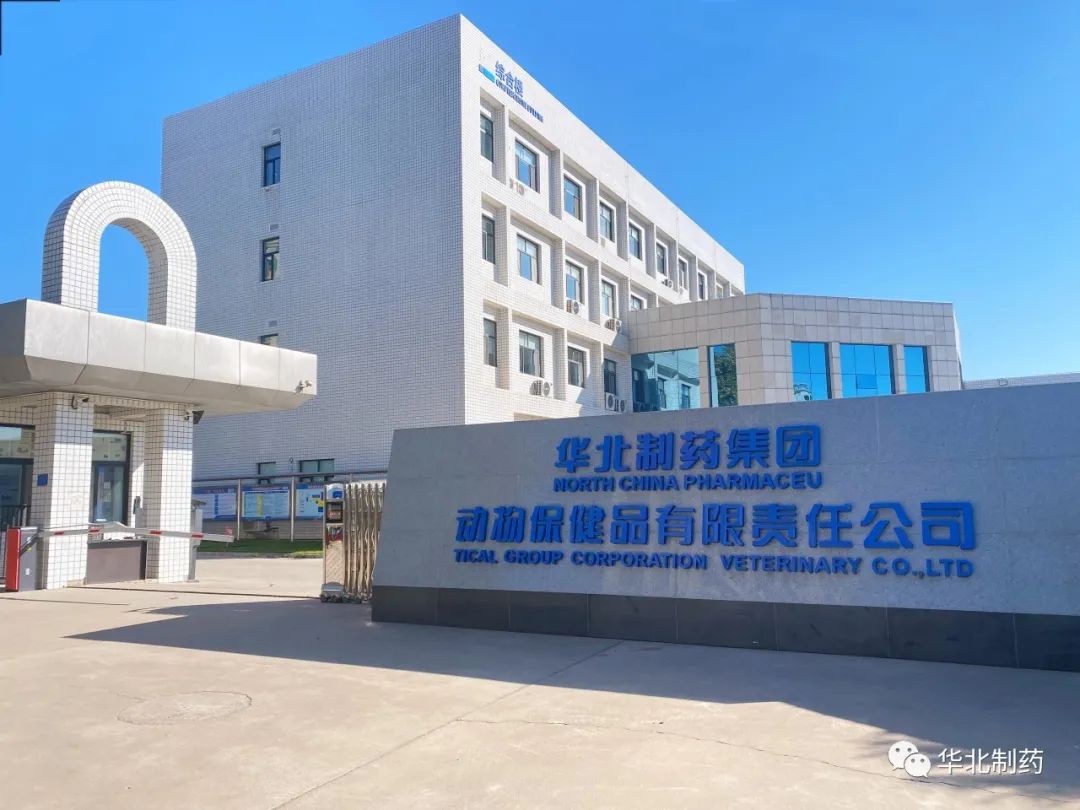 喜报!华药两公司获省专精特新示范企业称号