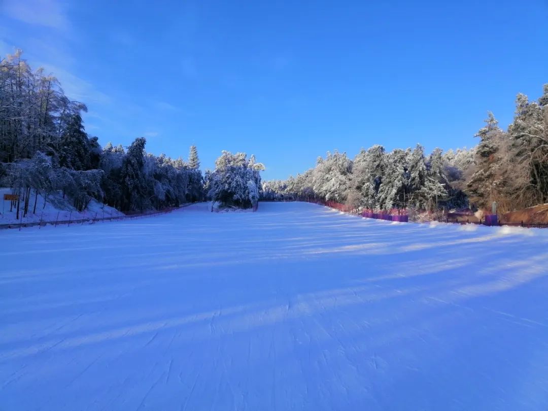 净月潭滑雪场11月18日开板迎客|净月潭_新浪财经_新浪网