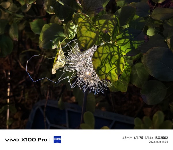 vivox100pro全面领先的蔡司影像让每一拍都出众