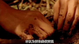 电影《假如爱有天意》中，男主用一只屎壳郎获得女神芳心