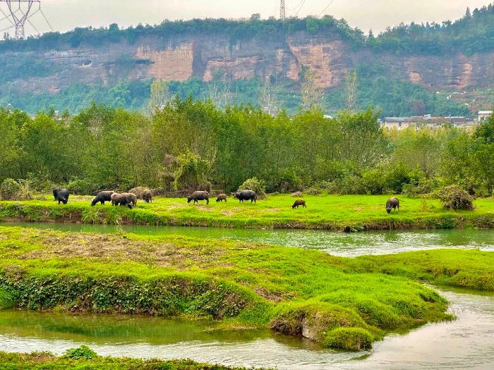 黄柏河流域治理获评生态环境部第二批美丽河湖优秀案例|宜昌市_新浪