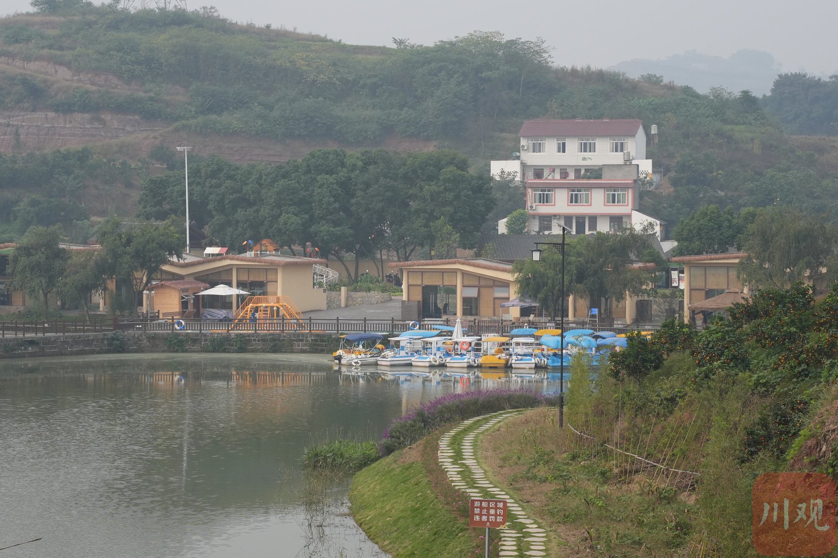 11月4日,宜宾市南溪区七洞湖乡村振兴示范片. 罗顺 摄