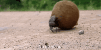 笑死……根本没力气