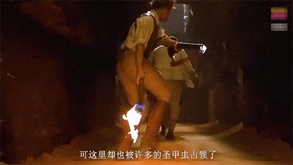 生命力旺盛的屎壳郎丨图源：电影《木乃伊》