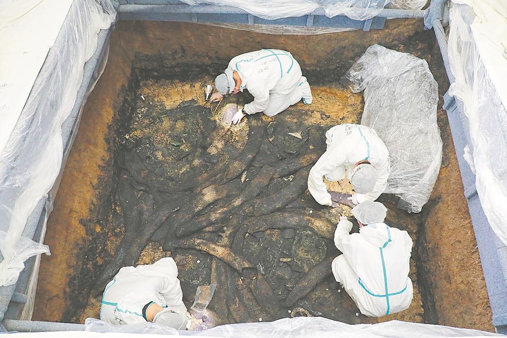 三星堆遗址象牙发掘现场