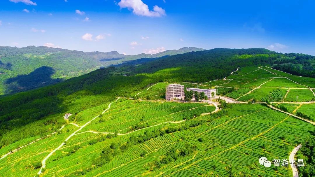 争创天府旅游名县 | 平昌县通过省级验收,获评优秀!