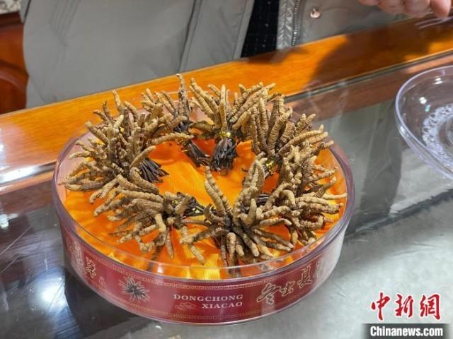 青海冬虫夏草前10个月出口量同比增长近九成|西宁市_新浪财经_新浪网