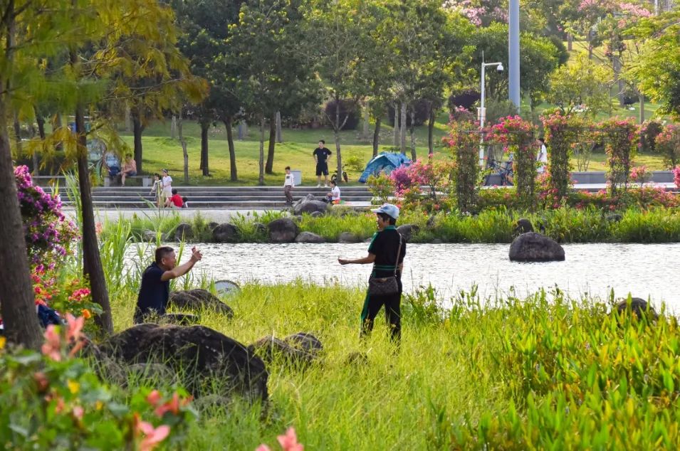 从赏绿到享绿湛江5处公园绿地开放共享周末出游安排上