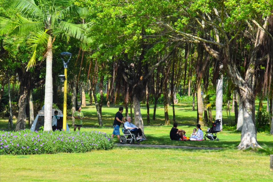 湛江5处公园绿地开放共享,周末出游安排上→|湛江市_新浪财经_新浪网