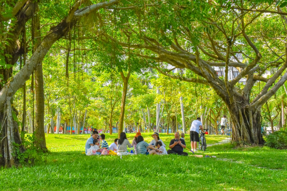 湛江5处公园绿地开放共享,周末出游安排上→|湛江市_新浪财经_新浪网