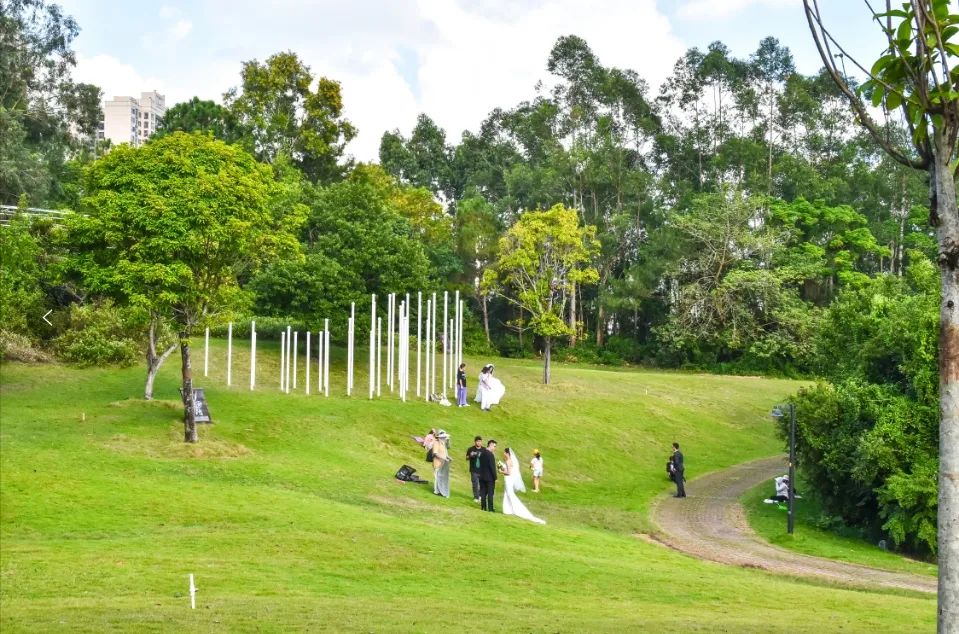 湛江5处公园绿地开放共享,周末出游安排上→|湛江市_新浪财经_新浪网