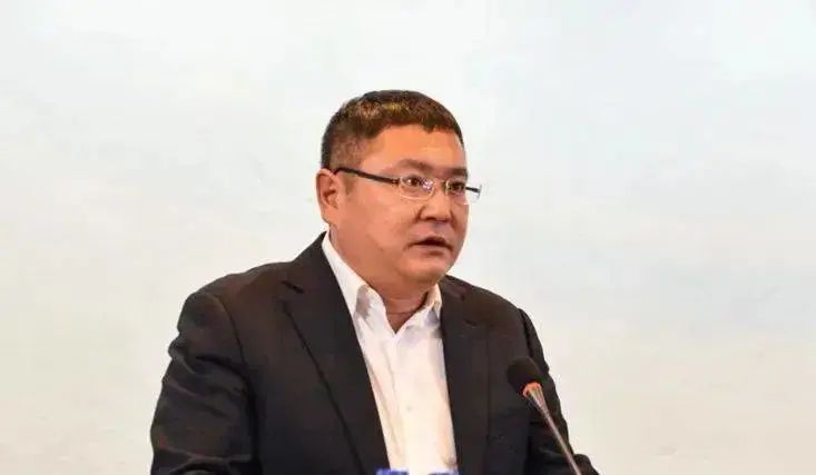 鲁海威,国网黑龙江省电力有限公司董事长,党委书记.