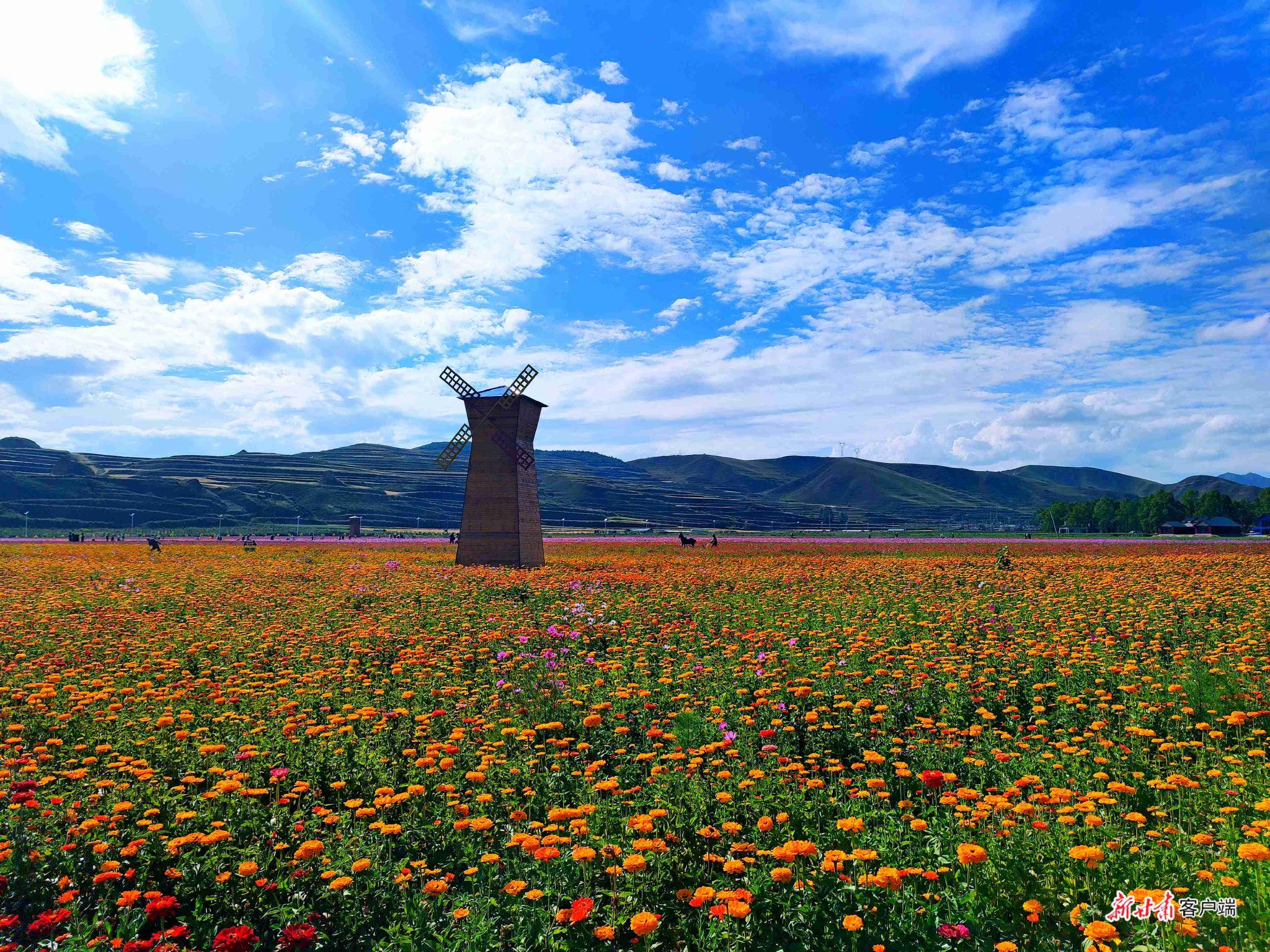 临潭县深挖乡村旅游资源.新甘肃·甘肃日报记者&nbsp;韦德占&nbsp;摄