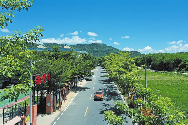 五大类十项指标 三亚这9个村将打造成清洁乡村样板