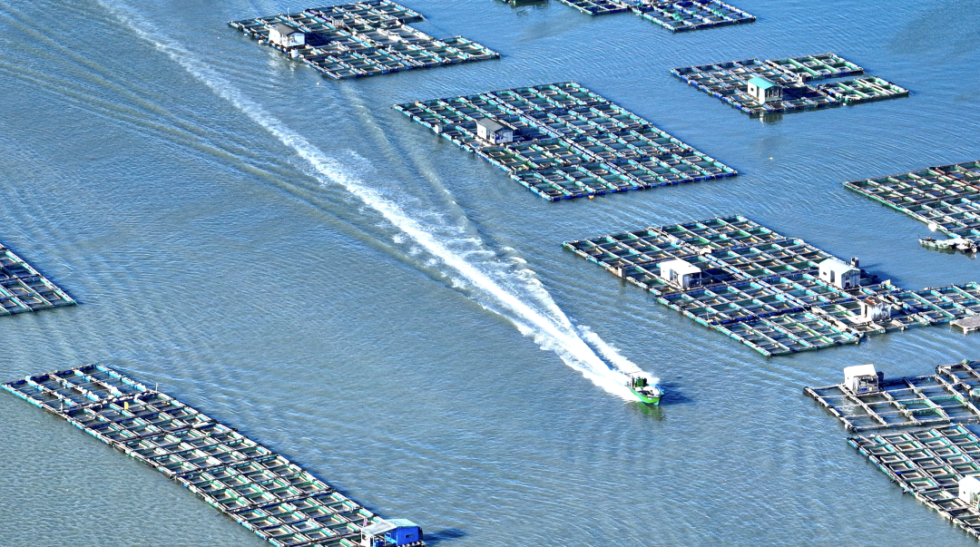 海洋牧场大赏一次看个过瘾