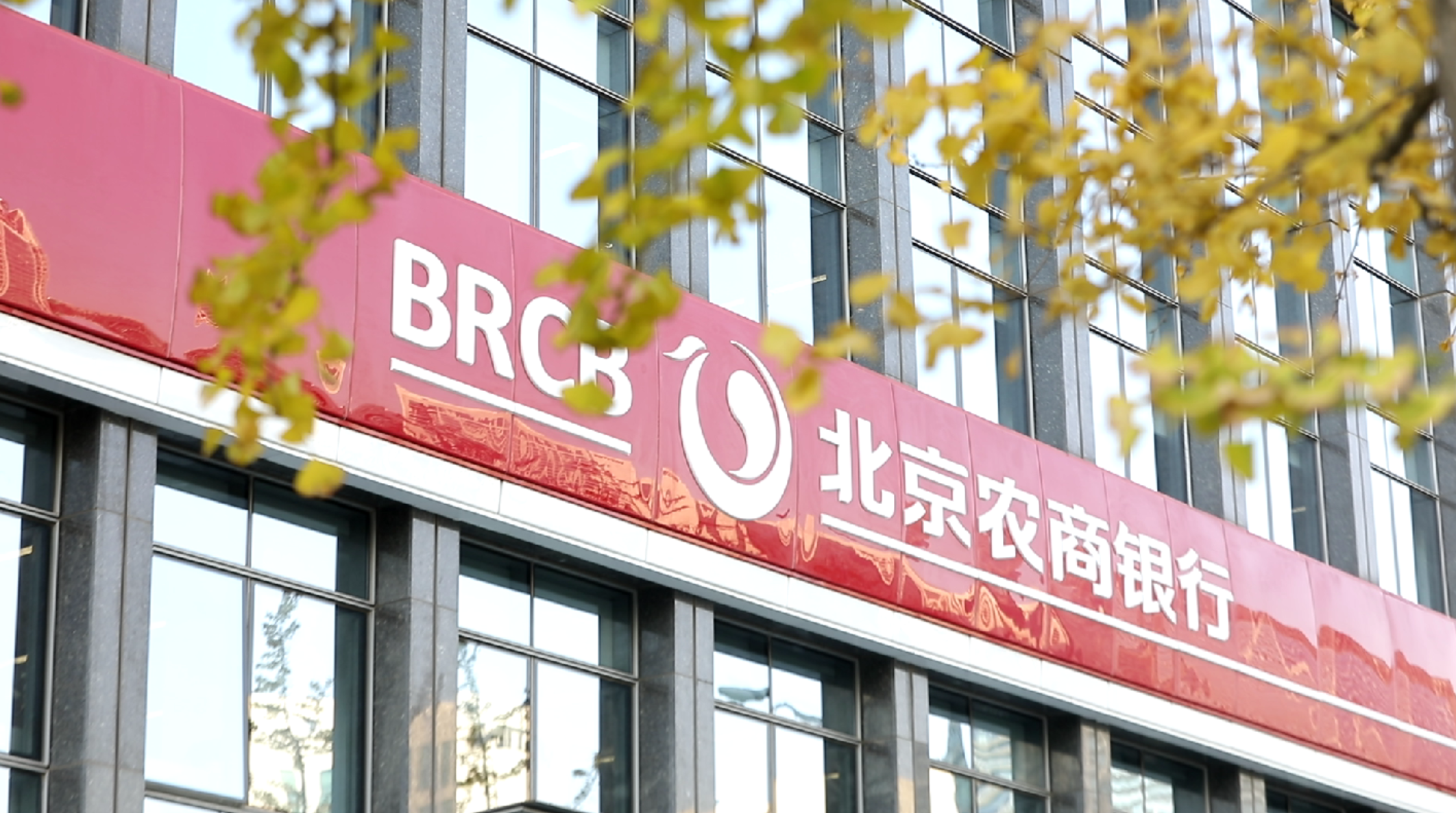 北京农商银行:将普惠金融业务融入乡村振兴战略