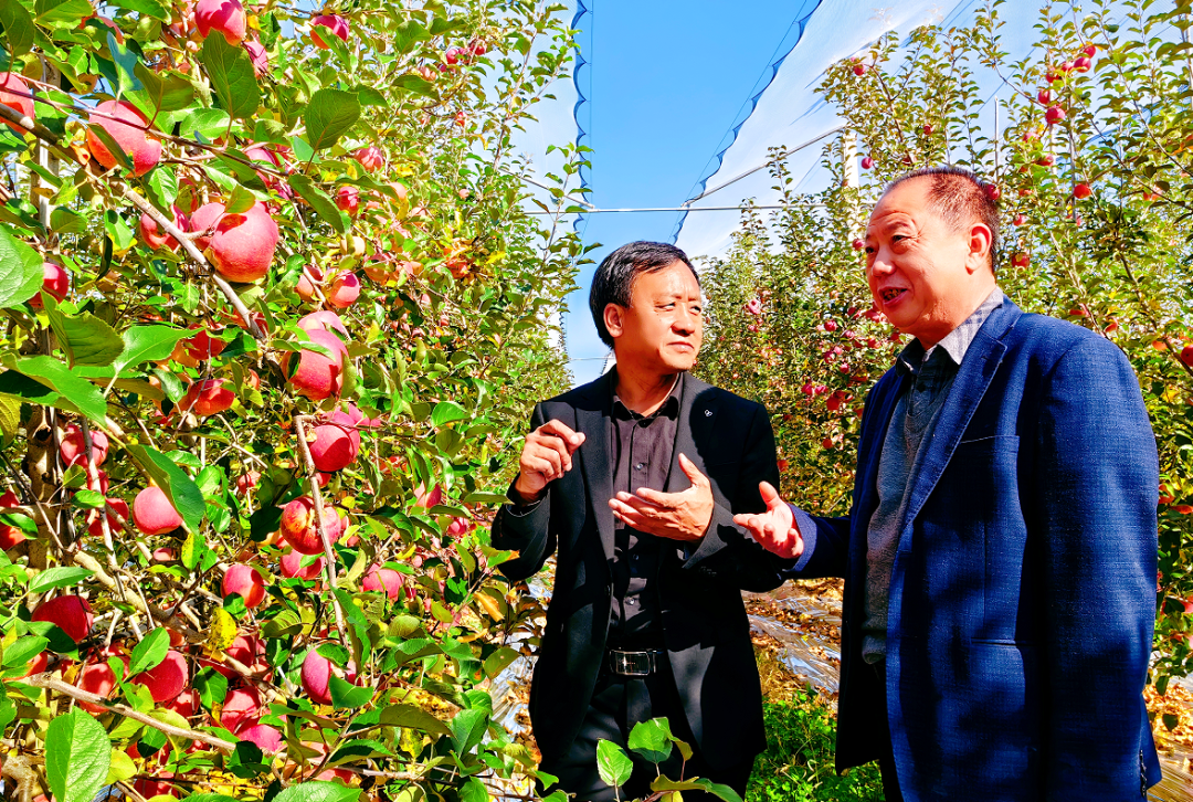 陕西老乡致富记李海民和他的宝贝疙瘩福布瑞斯