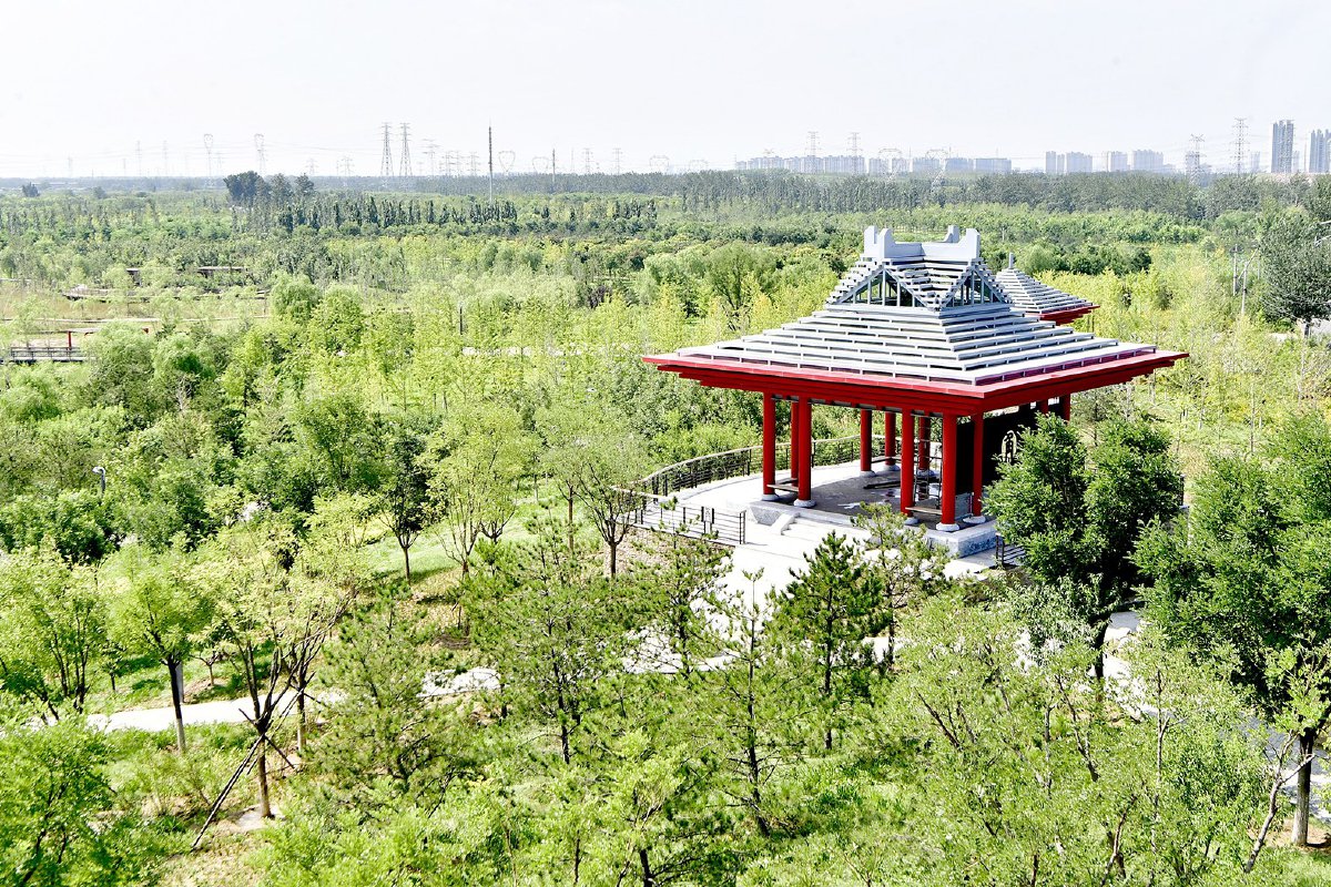 台湖万亩游憩园是城市副中心的"超级氧吧".(资料图)记者 唐建/摄
