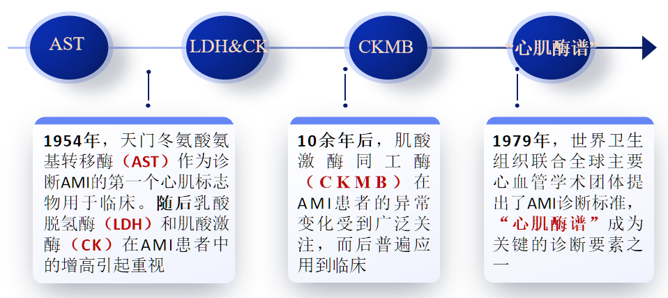 20世纪50~70年代:"心肌酶谱"01三,心肌损伤标志物的历史应用心肌细胞