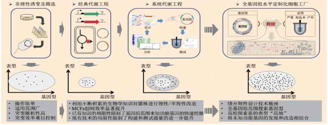 微生物细胞工厂设计构建的发展历程