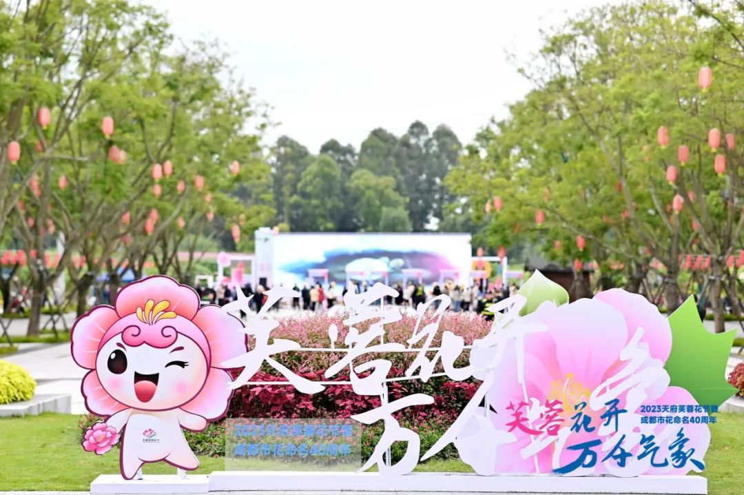 共赴下一个秋天 2023天府芙蓉花节落幕