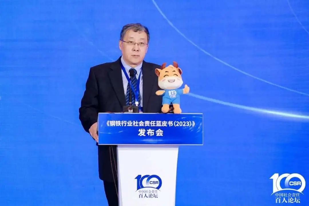 中国钢铁工业协会副秘书长王德春